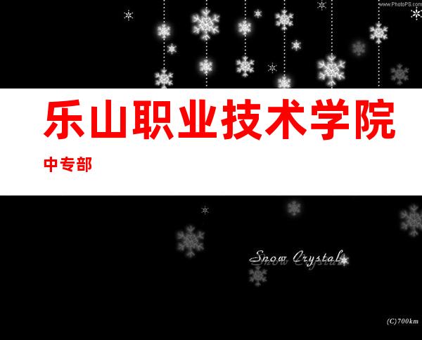 乐山职业技术学院中专部