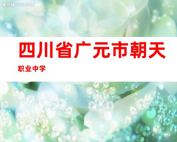 四川省广元市朝天职业中学