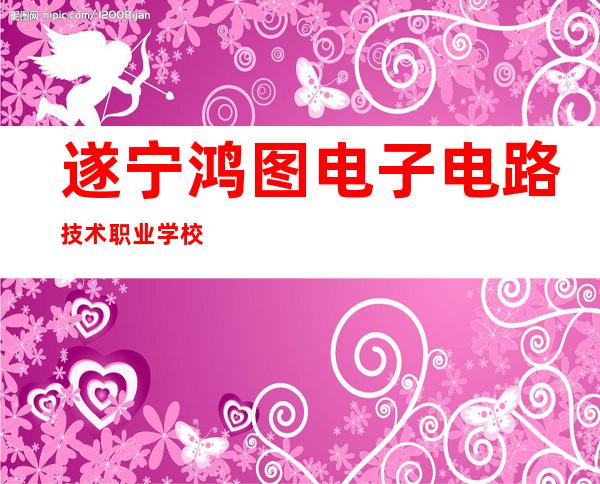 遂宁鸿图电子电路技术职业学校