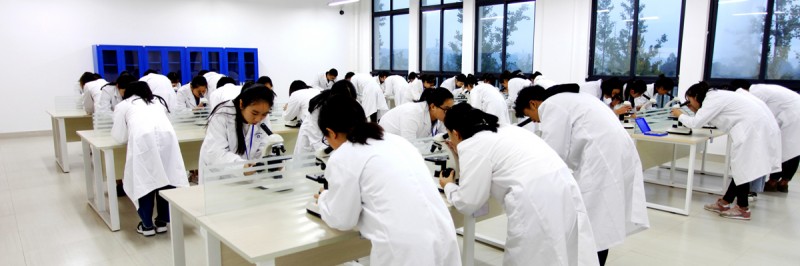 乐山市医药科技学校成都校区