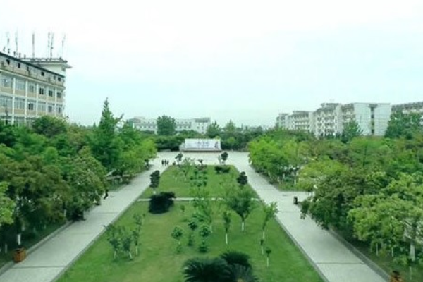 中专升专科