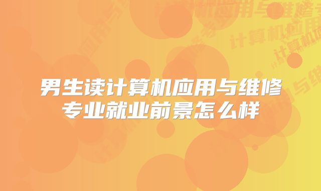 男生读计算机应用与维修专业就业前景怎么样